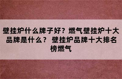 壁挂炉什么牌子好？燃气壁挂炉十大品牌是什么？ 壁挂炉品牌十大排名榜燃气